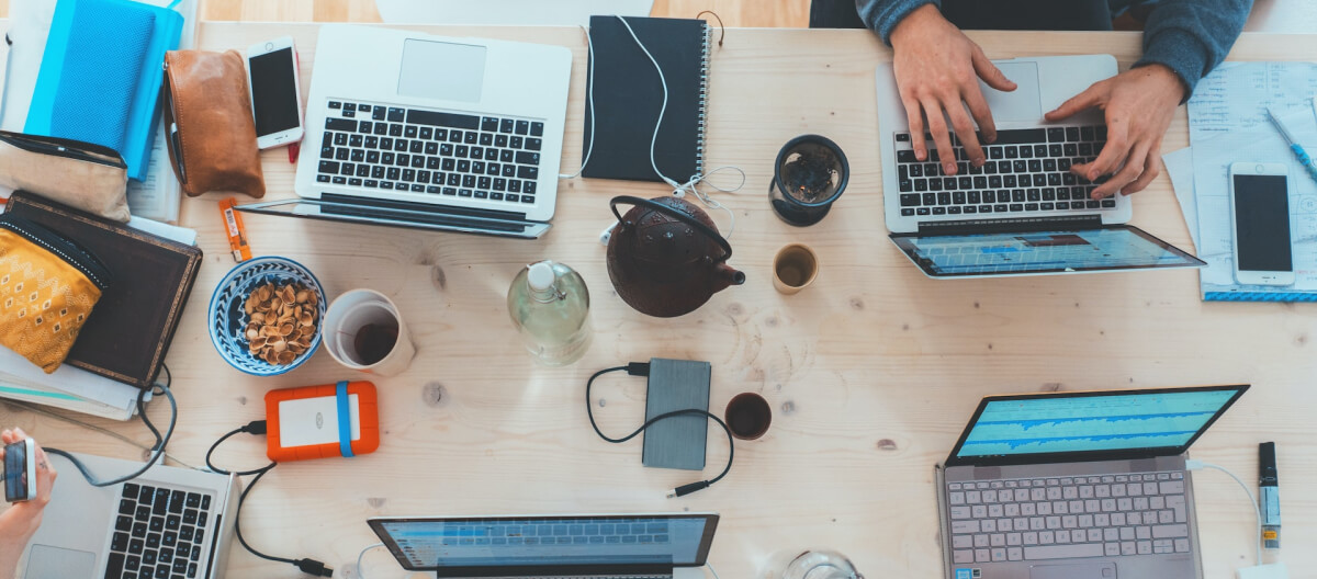 What Is WordPress: A Beginner Friendly Guide Explained