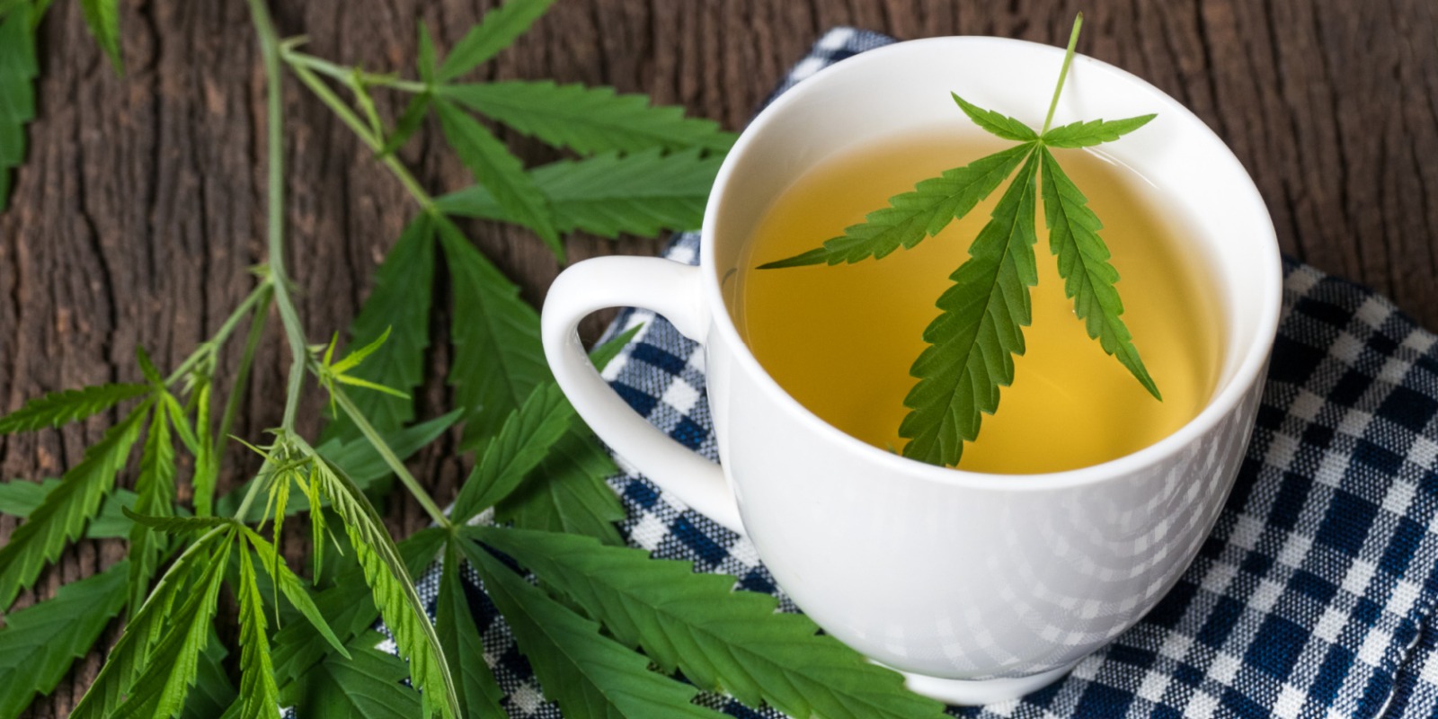 Cannabis club hamburg | Offiziell lizenzierter CSC